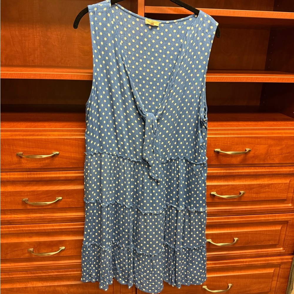 Blue & White Polka Dot Dress